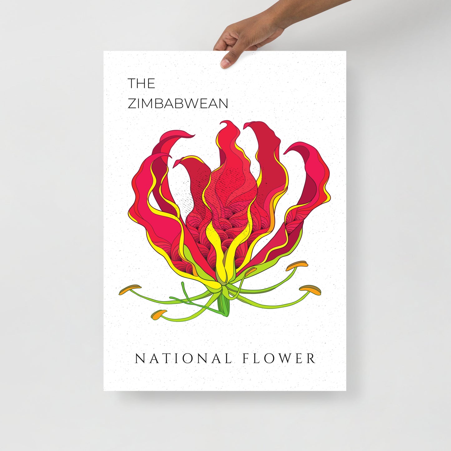 The Gloriosa Superba Wall Poster