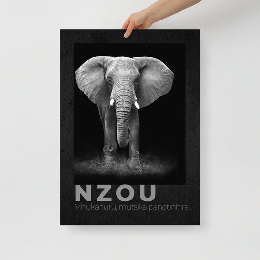 Nzou: Wisdom of the Wild Wall Art (50x70 cm)